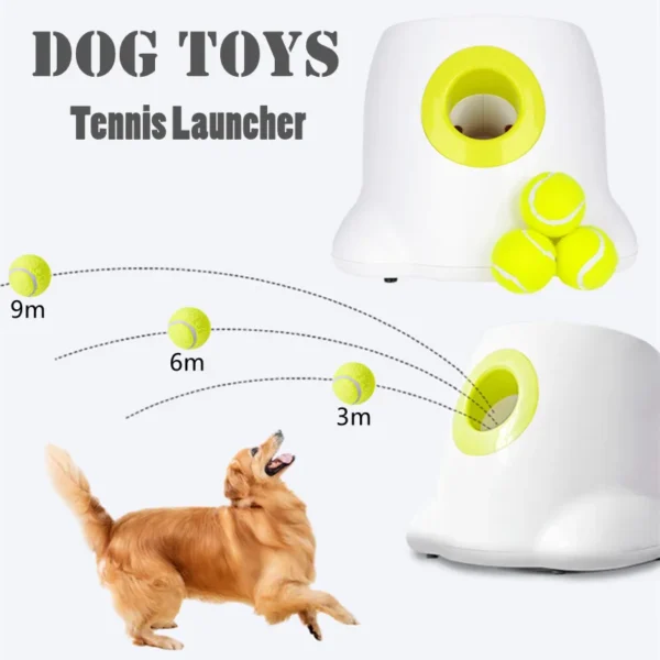 צעצוע משגר כדורים אוטומטי לכלבים